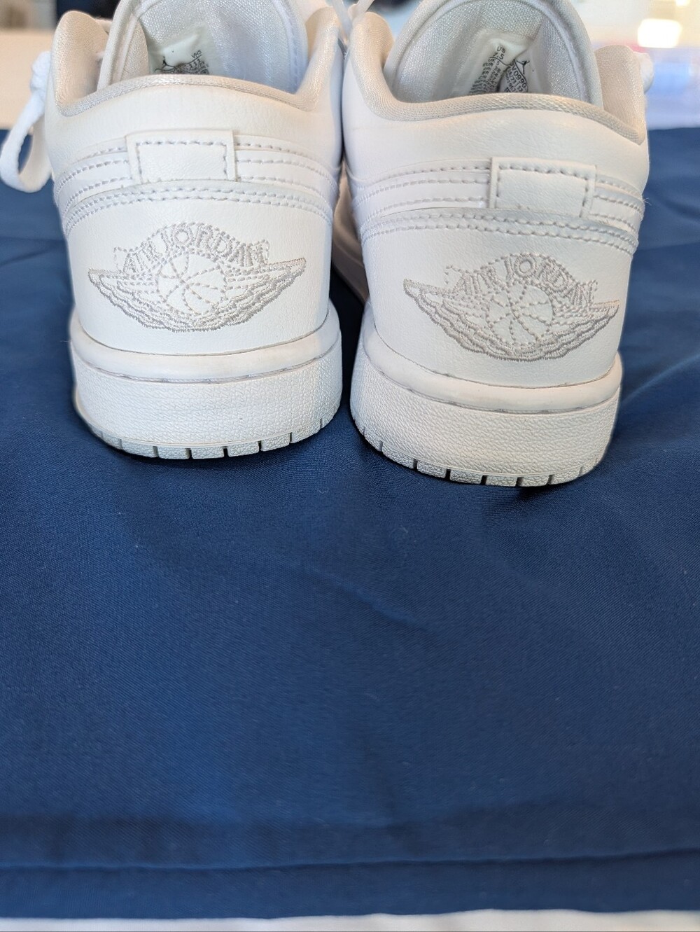 Nike White Low-Top Sneakers with Embroidered Wings Logo